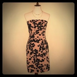 The Limited Peach & Black Dress!
